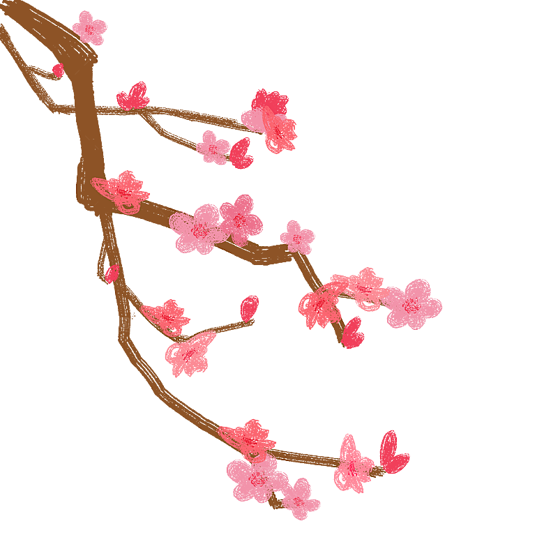 中国风梅花腊梅桃花樱花插画PNG