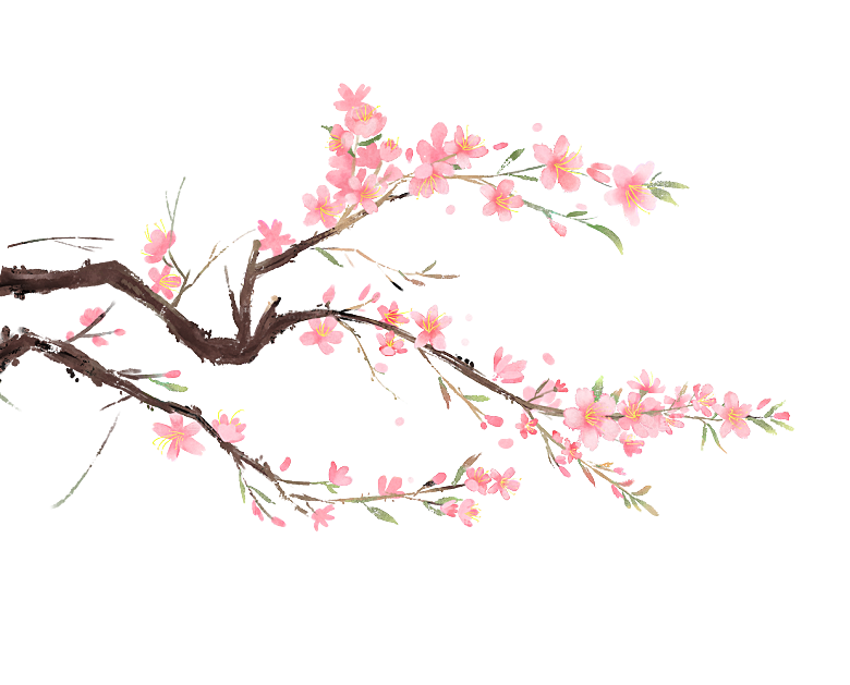 中国风梅花腊梅桃花樱花插画PNG