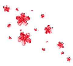 中国风梅花腊梅桃花樱花插画PNG