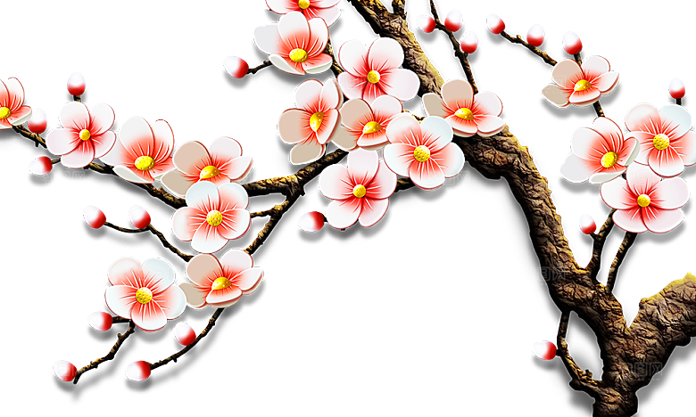 中国风梅花腊梅桃花樱花插画PNG素材