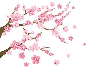 中国风梅花腊梅桃花樱花插画PNG