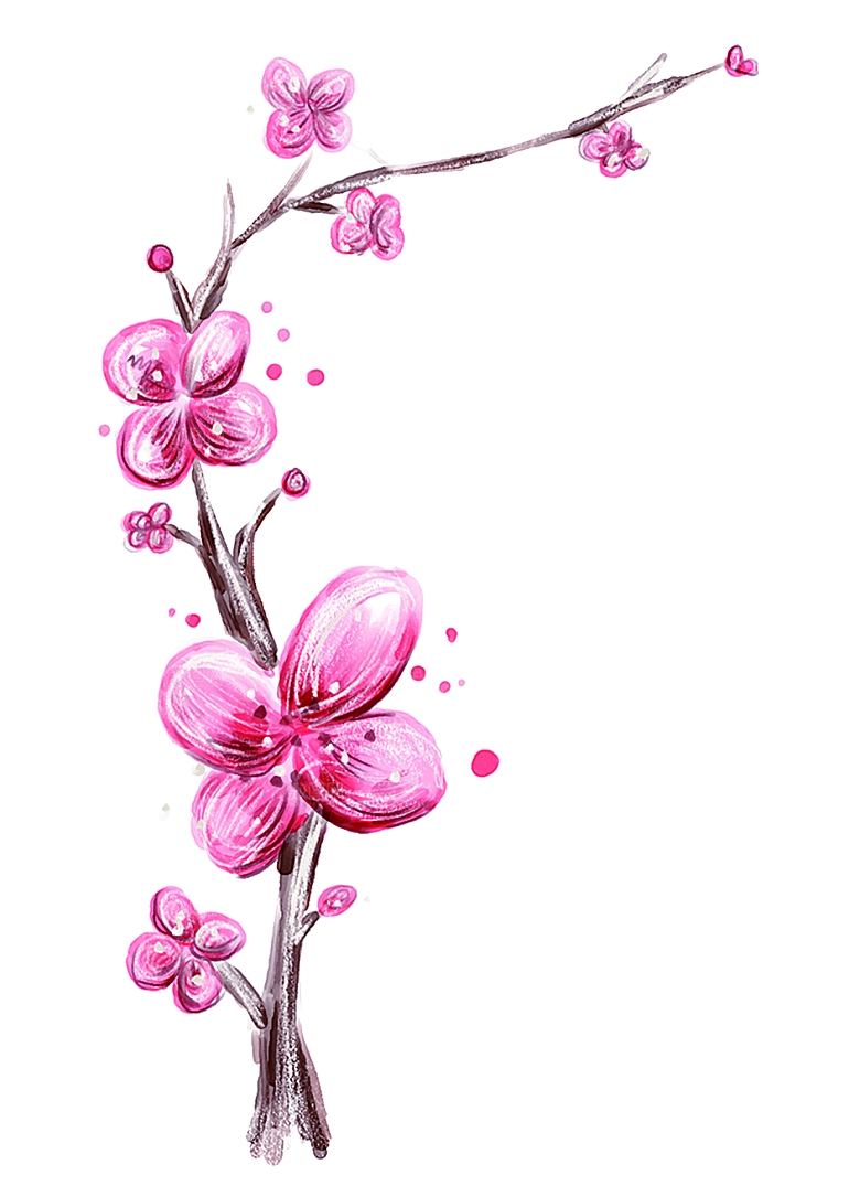 中国风梅花腊梅桃花樱花插画PNG