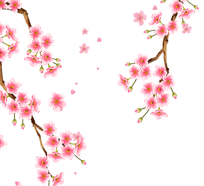 中国风梅花腊梅桃花樱花插画PNG