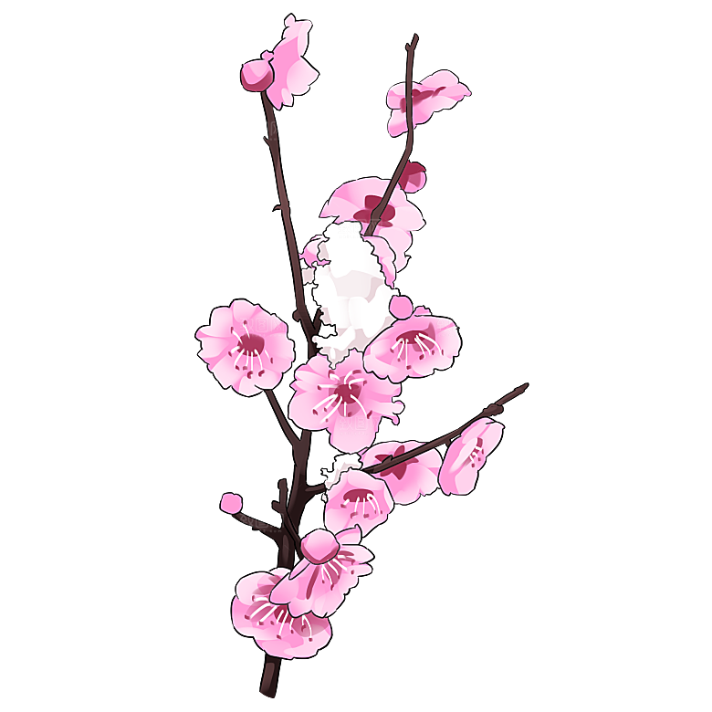 中国风梅花腊梅桃花樱花插画PNG素材