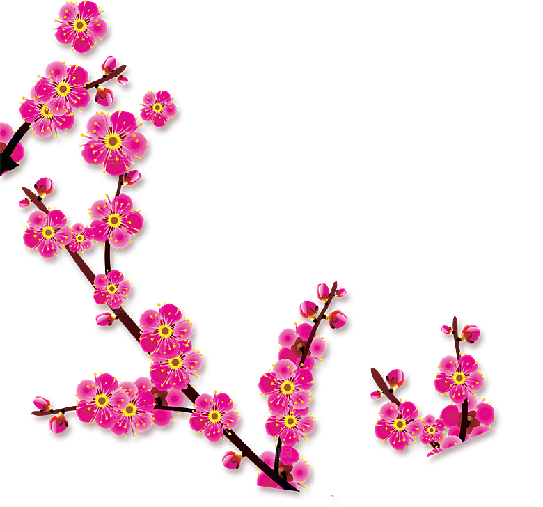 中国风梅花腊梅桃花樱花插画PNG素材