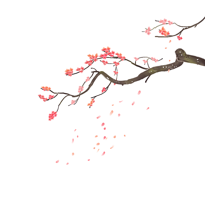 中国风梅花腊梅桃花樱花插画PNG素材