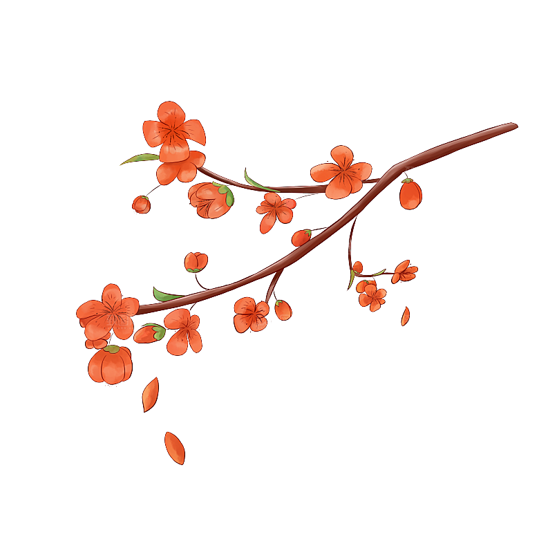 中国风梅花腊梅桃花樱花插画PNG素材