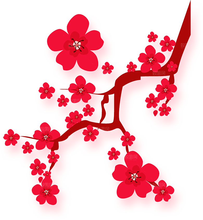 中国风梅花腊梅桃花樱花插画PNG素材