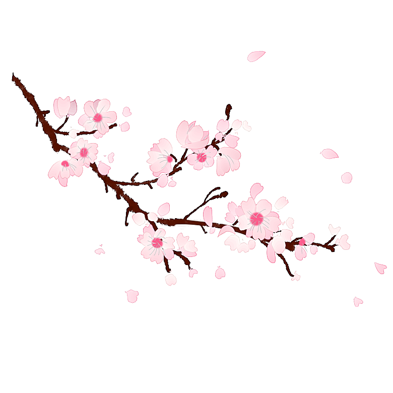 中国风梅花腊梅桃花樱花插画PNG素材
