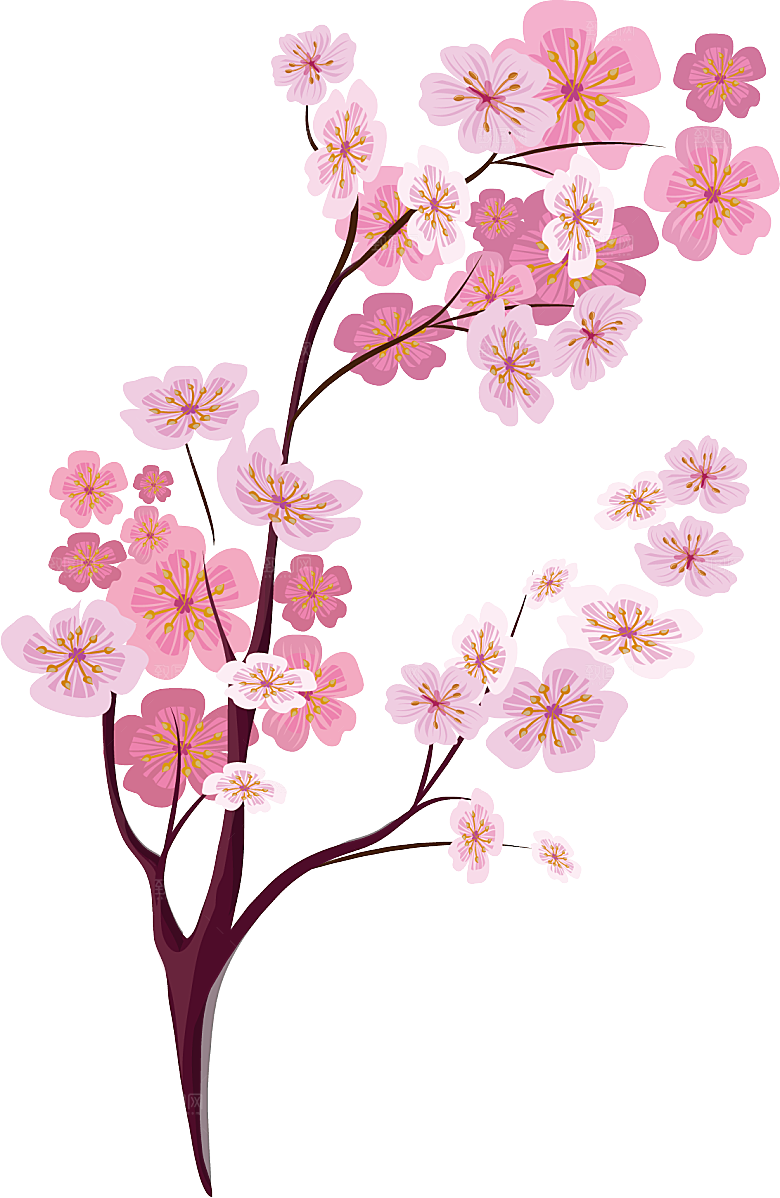 中国风梅花腊梅桃花樱花插画PNG素材