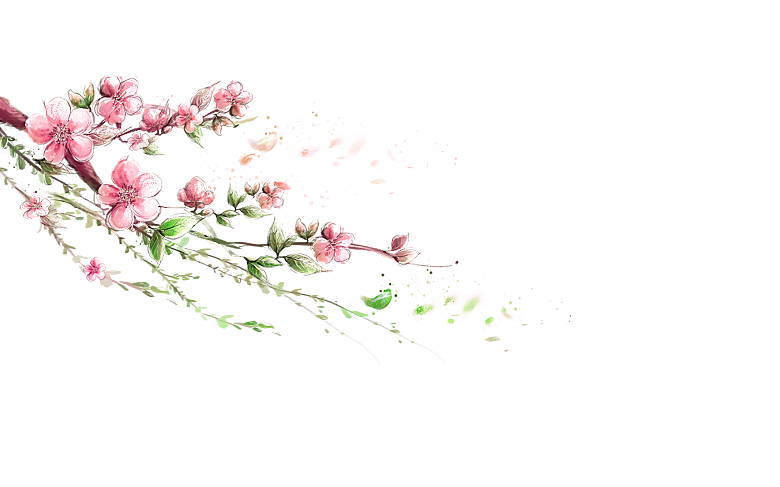 中国风梅花腊梅桃花樱花插画PNG