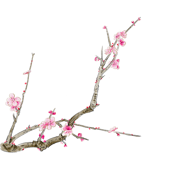 中国风梅花腊梅桃花樱花插画PNG