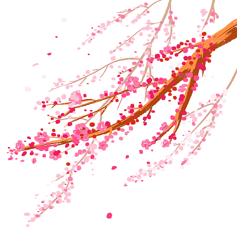 中国风梅花腊梅桃花樱花插画PNG