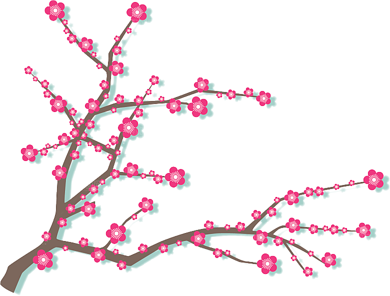 中国风梅花腊梅桃花樱花插画PNG