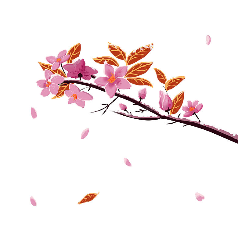 中国风梅花腊梅桃花樱花插画PNG