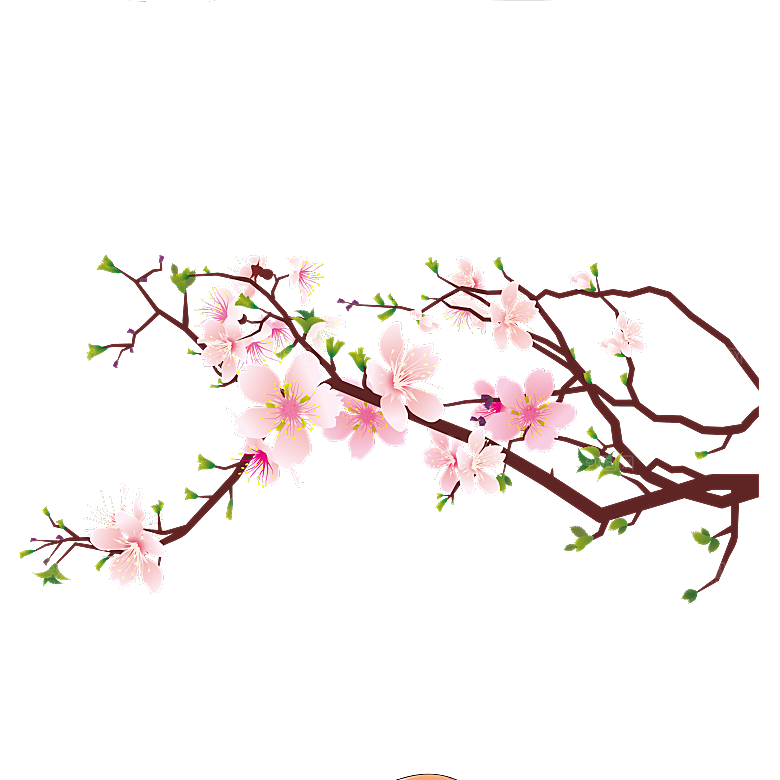 中国风梅花腊梅桃花樱花插画PNG