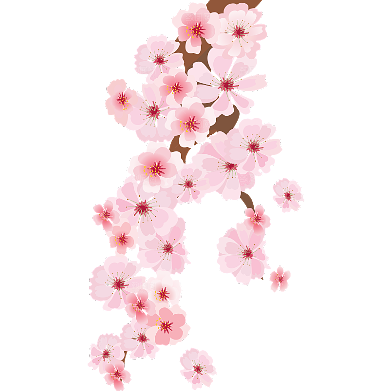 中国风梅花腊梅桃花樱花插画PNG