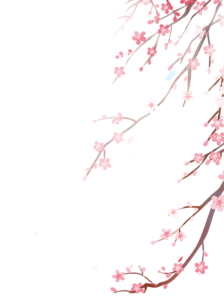 中国风梅花腊梅桃花樱花插画PNG素材