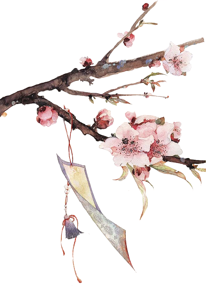 中国风梅花腊梅桃花樱花插画PNG素材
