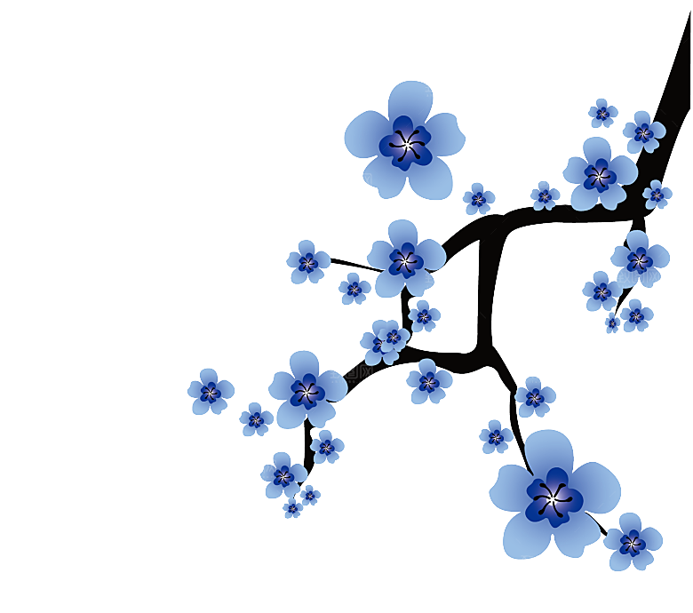 中国风梅花腊梅桃花樱花插画PNG素材
