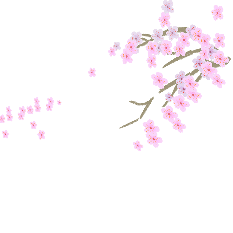 中国风梅花腊梅桃花樱花插画PNG素材