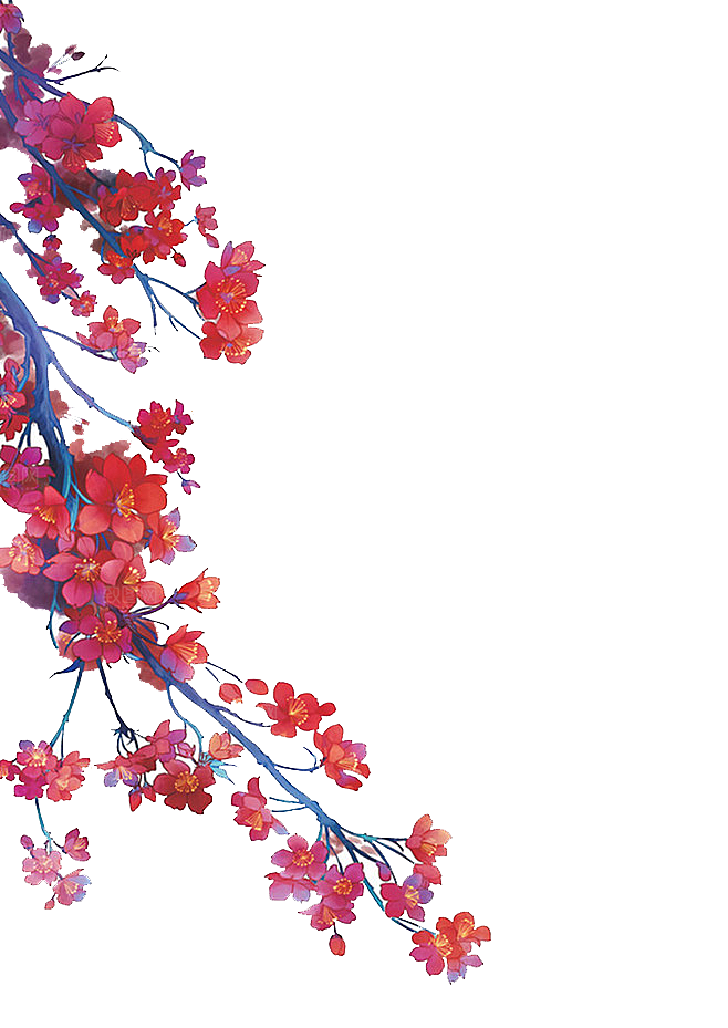 中国风梅花腊梅桃花樱花插画PNG素材
