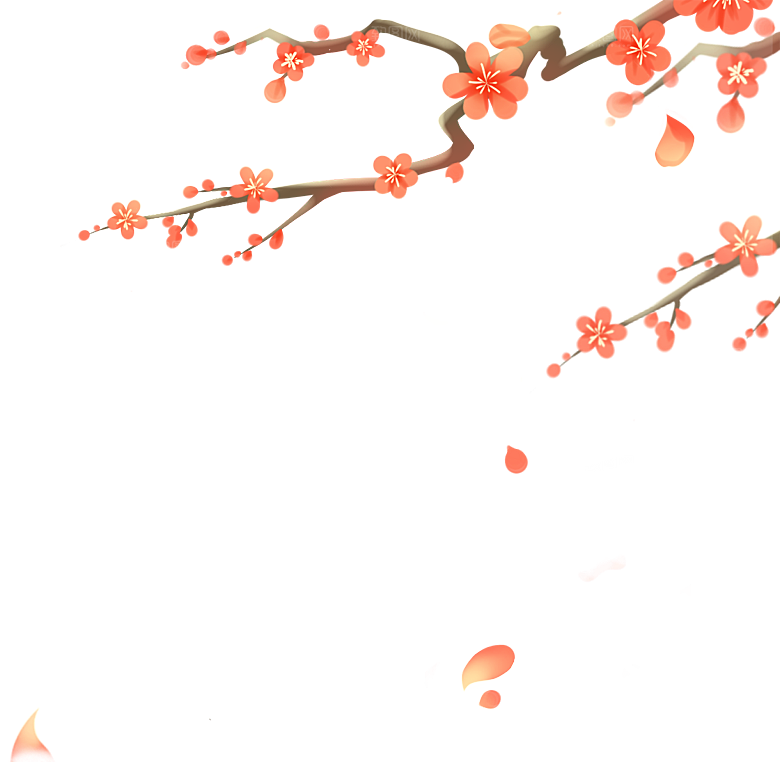 中国风梅花腊梅桃花樱花插画PNG素材