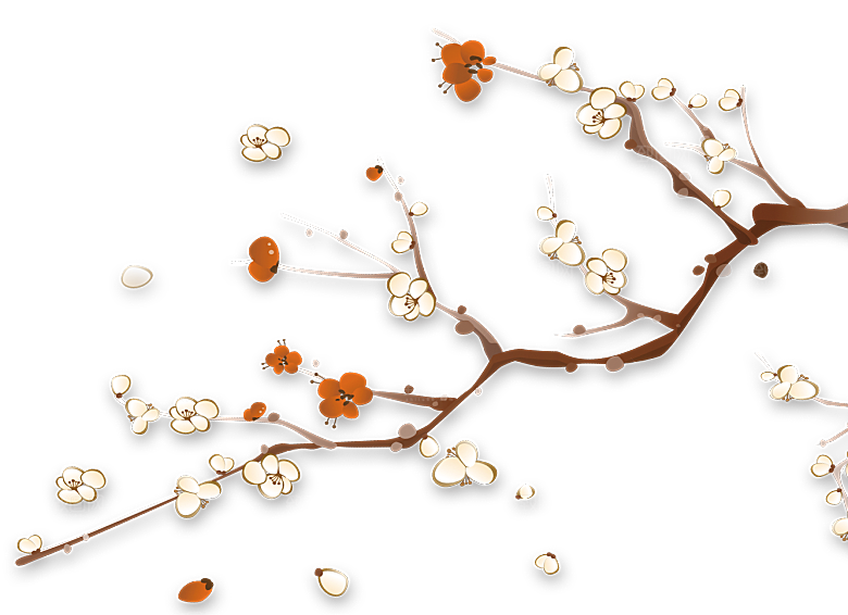 中国风梅花腊梅桃花樱花插画PNG素材