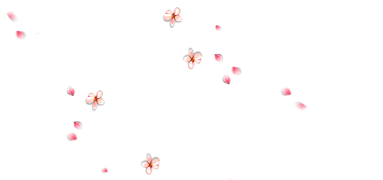 中国风梅花腊梅桃花樱花插画PNG素材
