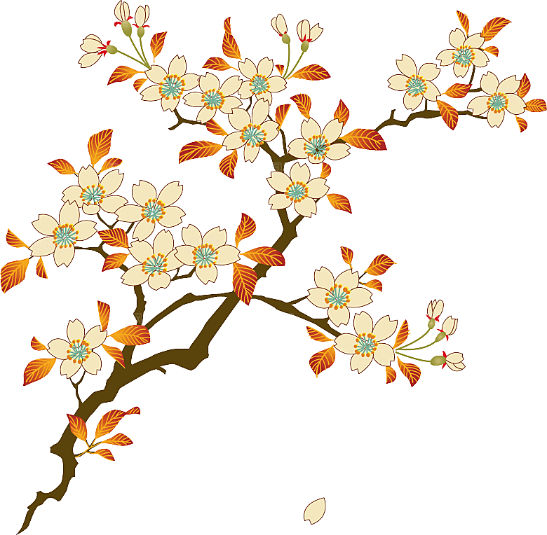 中国风梅花腊梅桃花樱花插画PNG