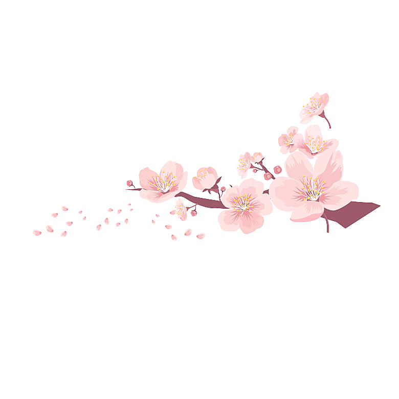 中国风梅花腊梅桃花樱花插画PNG
