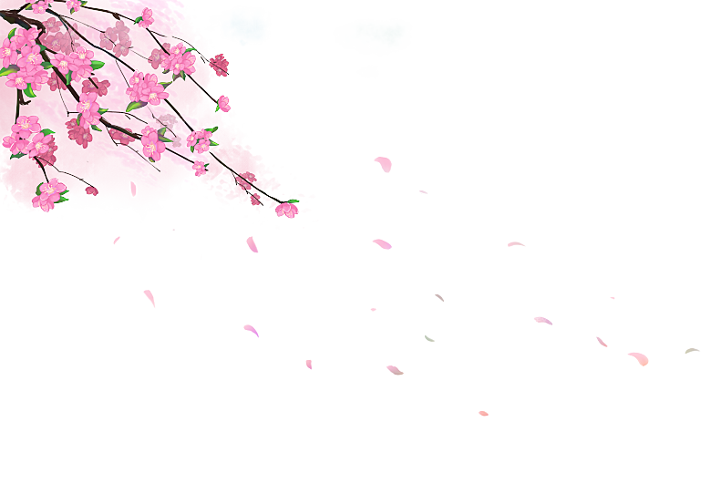 中国风梅花腊梅桃花樱花插画PNG