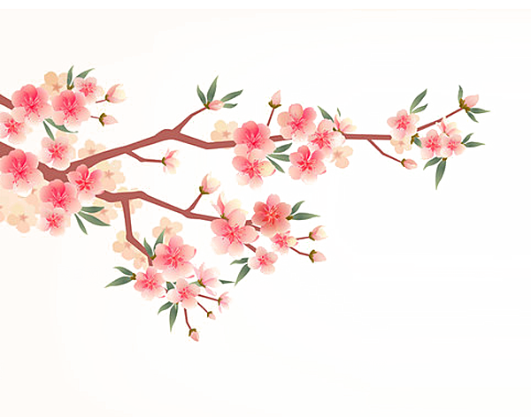 中国风梅花腊梅桃花樱花插画PNG