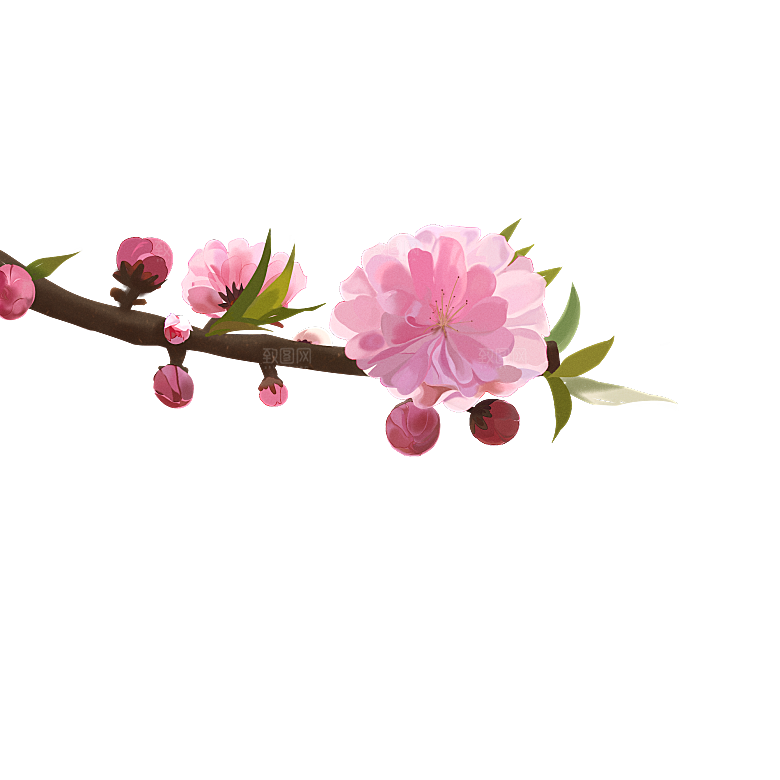 中国风梅花腊梅桃花樱花插画PNG