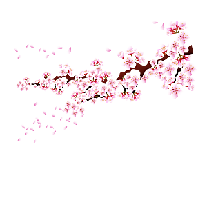 中国风梅花腊梅桃花樱花插画PNG