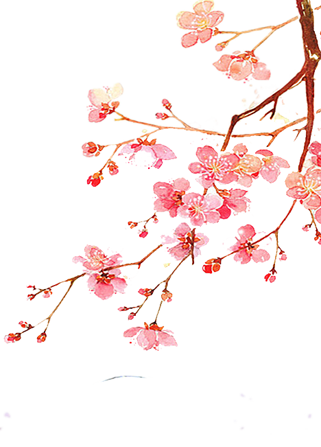 中国风梅花腊梅桃花樱花插画PNG