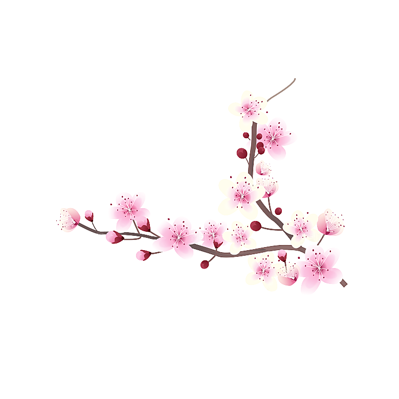中国风梅花腊梅桃花樱花插画PNG