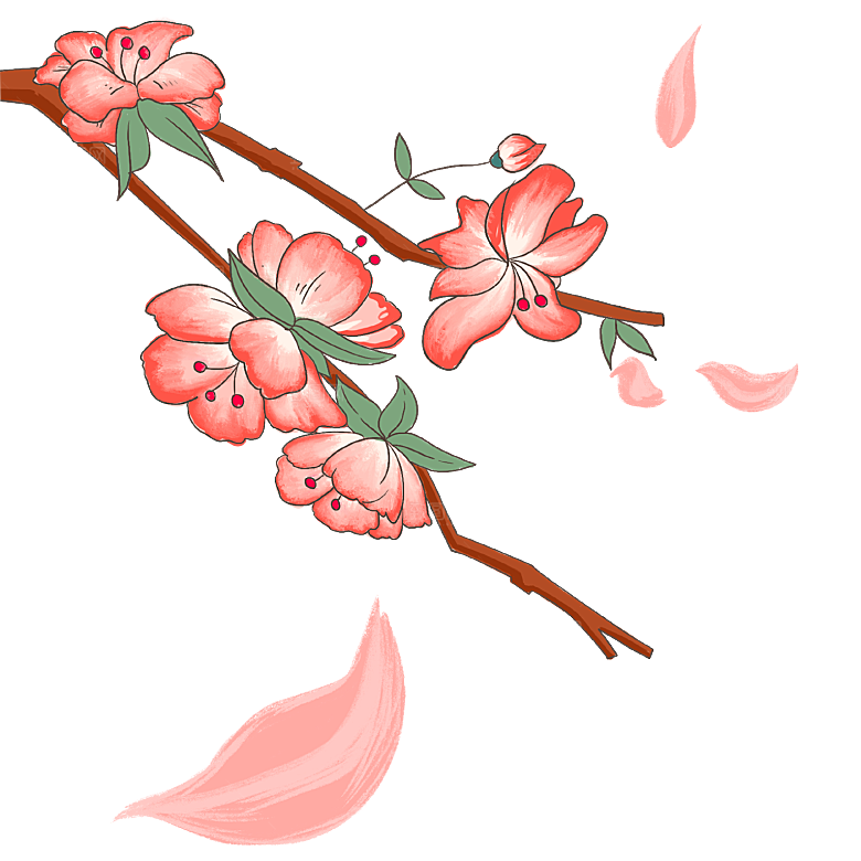 中国风梅花腊梅桃花樱花插画PNG
