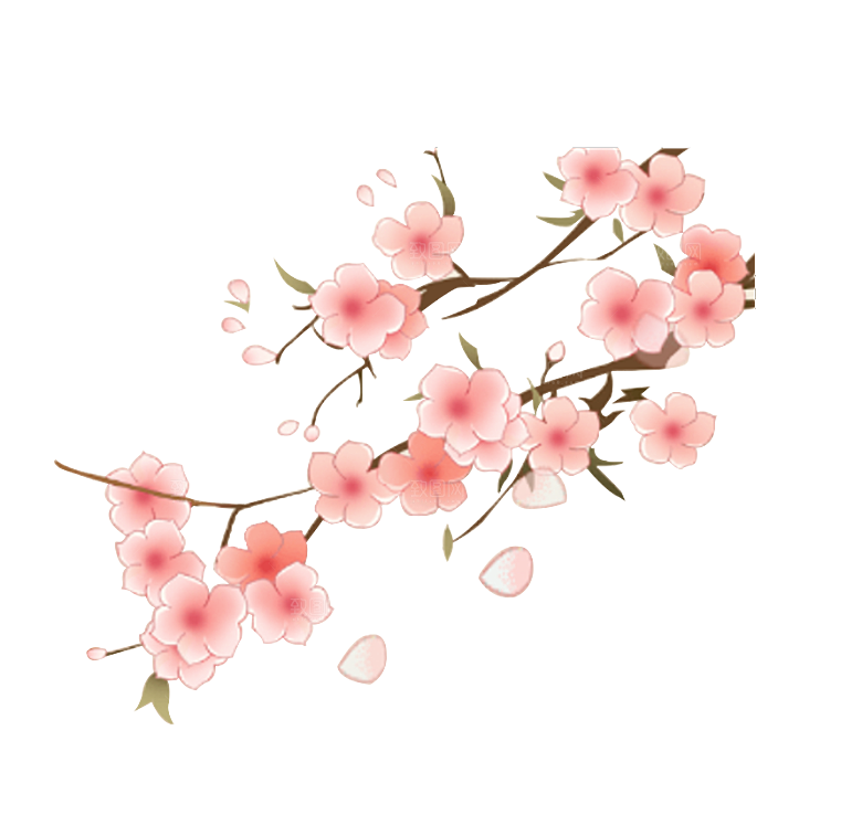 中国风梅花腊梅桃花樱花插画PNG