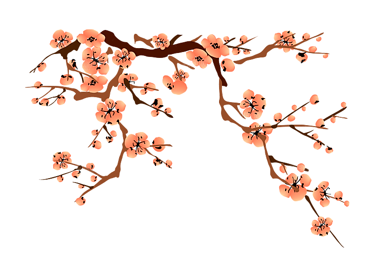 中国风梅花腊梅桃花樱花插画PNG素材