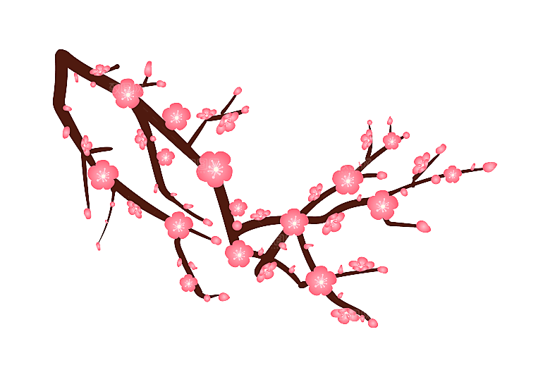 中国风梅花腊梅桃花樱花插画PNG素材