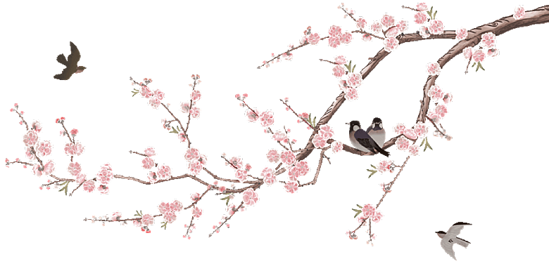 中国风梅花腊梅桃花樱花插画PNG素材