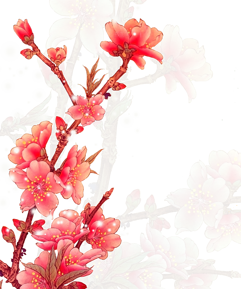 中国风梅花腊梅桃花樱花插画PNG素材