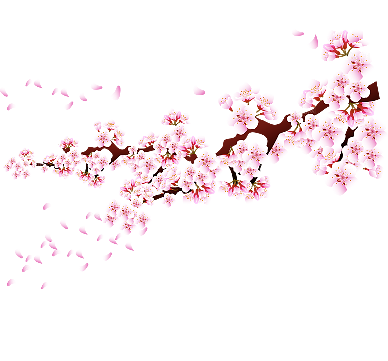 中国风梅花腊梅桃花樱花插画PNG素材