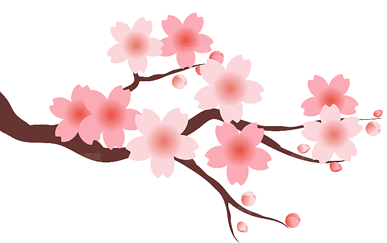 中国风梅花腊梅桃花樱花插画PNG素材