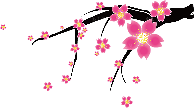 中国风梅花腊梅桃花樱花插画PNG素材
