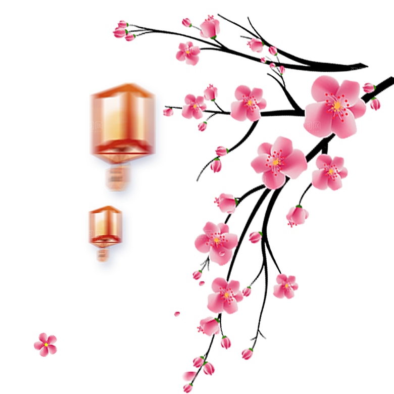 中国风梅花腊梅桃花樱花插画PNG素材