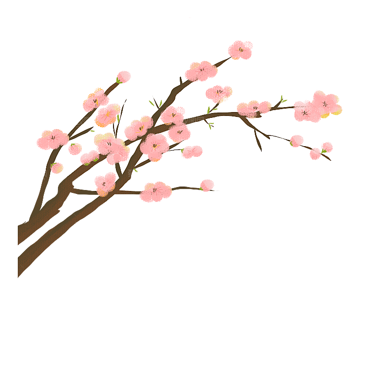 中国风梅花腊梅桃花樱花插画PNG素材