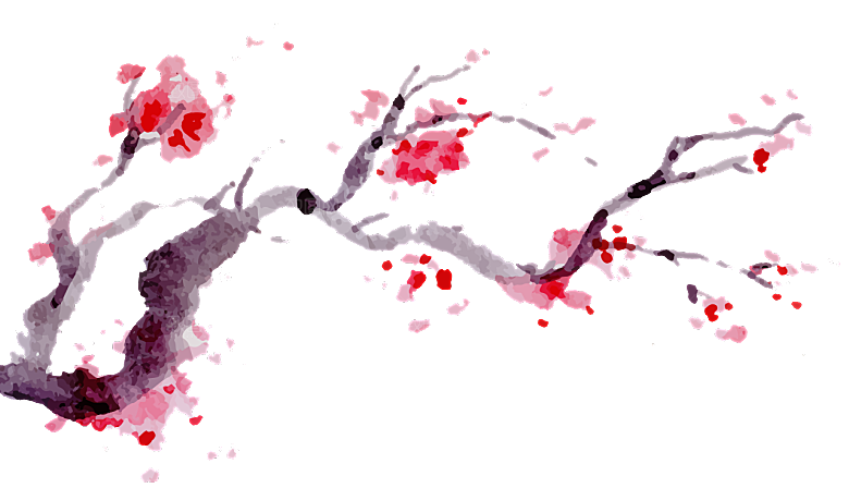 中国风梅花腊梅桃花樱花插画PNG素材