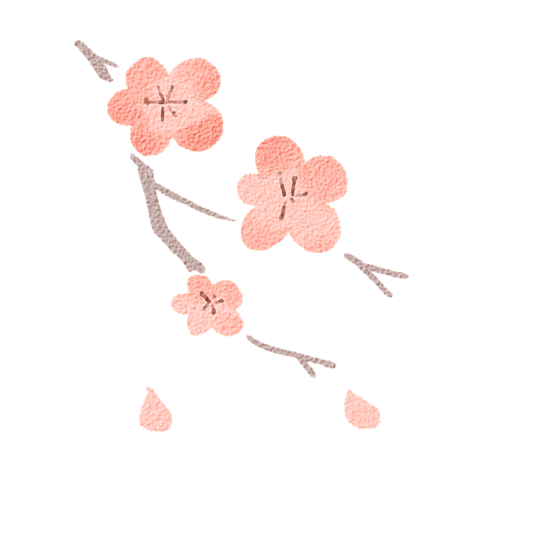 中国风梅花腊梅桃花樱花插画PNG